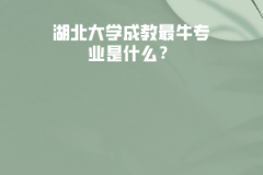 湖北大學成教最牛專業(yè)是什么？