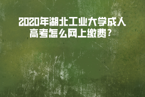 2020年湖北工業(yè)大學成人高考網(wǎng)上報名及繳費須知