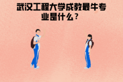 武漢工程大學(xué)成教最牛專業(yè)是什么？