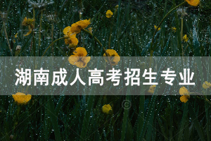 湖南大學(xué)成人高考招生專業(yè)有哪些？