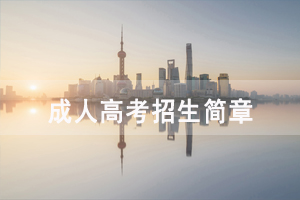 2020年武漢音樂學(xué)院成人高考招生簡章