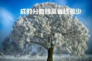 湖北大學成教分數(shù)線高省線多少