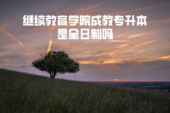 武漢工程大學(xué)繼續(xù)教育學(xué)院成教專(zhuān)升本是全日制嗎