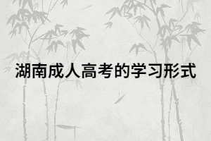 湖南成考上班族可以自己選擇學(xué)習(xí)方式嗎？