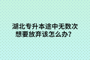 湖北專升本途中無數(shù)次想要放棄該怎么辦？
