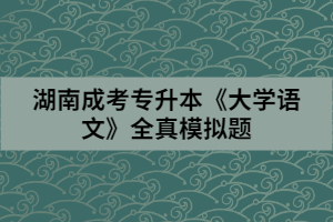 湖南成考專升本《大學(xué)語(yǔ)文》全真模擬題(三)