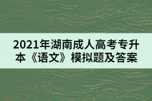 2021年湖南成人高考專升本《語文》模擬題及答案(八)