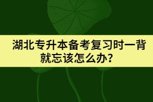 湖北專升本備考復習時一背就忘該怎么辦？