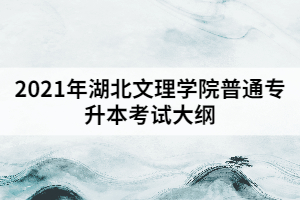2021年湖北文理學(xué)院普通專(zhuān)升本《內(nèi)科護(hù)理學(xué)》考試大綱