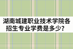 湖南城建職業(yè)技術學院2021年各招生專業(yè)學費是多少？