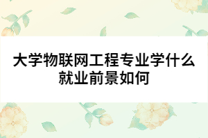 大學物聯(lián)網(wǎng)工程專業(yè)學什么就業(yè)前景如何