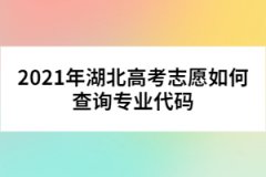 2021年湖北高考志愿如何查詢專業(yè)代碼