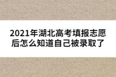 2021年湖北高考填報(bào)志愿后怎么知道自己被錄取了