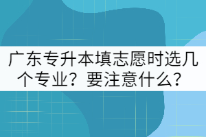 廣東專升本填志愿時(shí)可以選幾個(gè)專業(yè)?要注意什么?