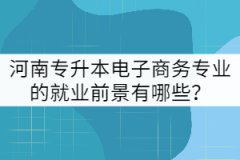 河南專升本電子商務專業(yè)的就業(yè)前景有哪些?