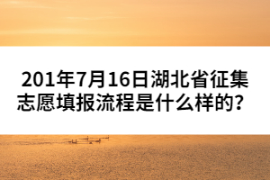201年7月16日湖北省征集志愿填報流程是什么樣的？