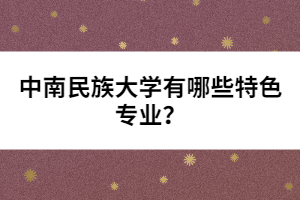 中南民族大學(xué)有哪些特色專業(yè)？