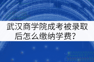 武漢商學(xué)院成考被錄取后怎么繳納學(xué)費(fèi)？