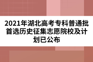 2021年湖北高考專科普通批首選歷史征集志愿院校及計劃已公布