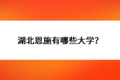 湖北恩施有哪些大學(xué)？