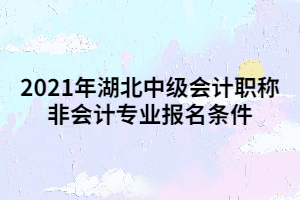 2021年湖北中級(jí)會(huì)計(jì)職稱非會(huì)計(jì)專業(yè)報(bào)名條件