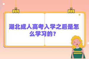 湖北成人高考入學(xué)之后是怎么學(xué)習(xí)的？