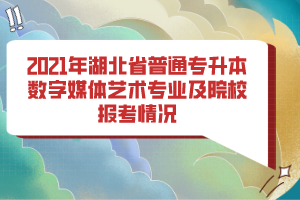 2021年湖北省普通專升本數(shù)字媒體藝術(shù)專業(yè)及院校報考情況