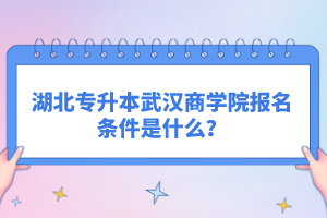 湖北專升本武漢商學院報名條件是什么？