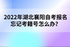 2022年湖北襄陽(yáng)自考報(bào)名忘記考籍號(hào)怎么辦？