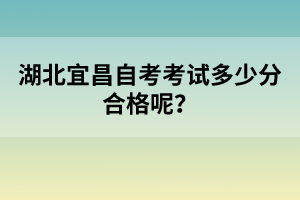 湖北宜昌自考考試多少分合格呢?