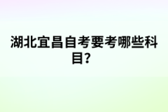 湖北學位英語考試題型有哪些?