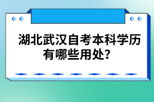 湖北武漢自考本科學(xué)歷有哪些用處？