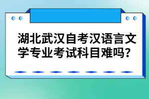 湖北武漢自考漢語言文學(xué)專業(yè)考試科目難嗎？