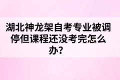 湖北神龍架自考專業(yè)被調(diào)停但課程還沒考完怎么辦？