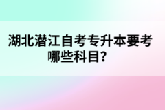 湖北潛江自考專升本要考哪些科目?
