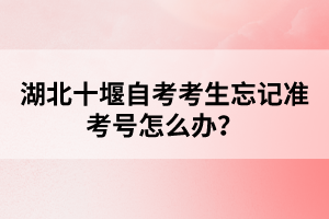 湖北十堰自考考生忘記準(zhǔn)考號怎么辦？