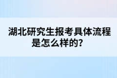 湖北研究生報考具體流程是怎么樣的?