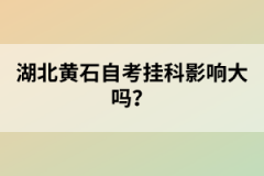 湖北黃石自考掛科影響大嗎?
