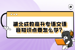 湖北成教高升專語文語音知識(shí)點(diǎn)要怎么學(xué)?