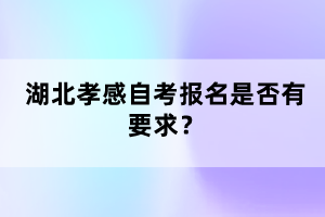 湖北孝感自考報名是否有要求？