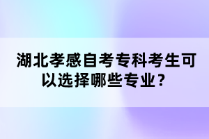 湖北孝感自考專科考生可以選擇哪些專業(yè)?