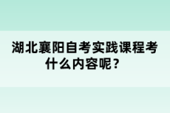 湖北襄陽自考實(shí)踐課程考什么內(nèi)容呢?