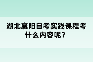 湖北襄陽自考實踐課程考什么內容呢？