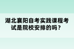 湖北襄陽自考實(shí)踐課程考試是院校安排的嗎?