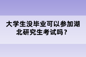 大學(xué)生沒畢業(yè)可以參加湖北研究生考試嗎？