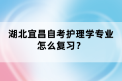 湖北宜昌自考護理學專業(yè)怎么復習？