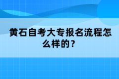 黃石自考大專報(bào)名流程怎么樣的?