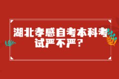 湖北孝感自考本科考試嚴(yán)不嚴(yán)?