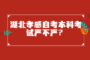 湖北孝感自考本科考試嚴(yán)不嚴(yán)?