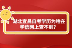 湖北宜昌自考學(xué)歷為啥在學(xué)信網(wǎng)上查不到?